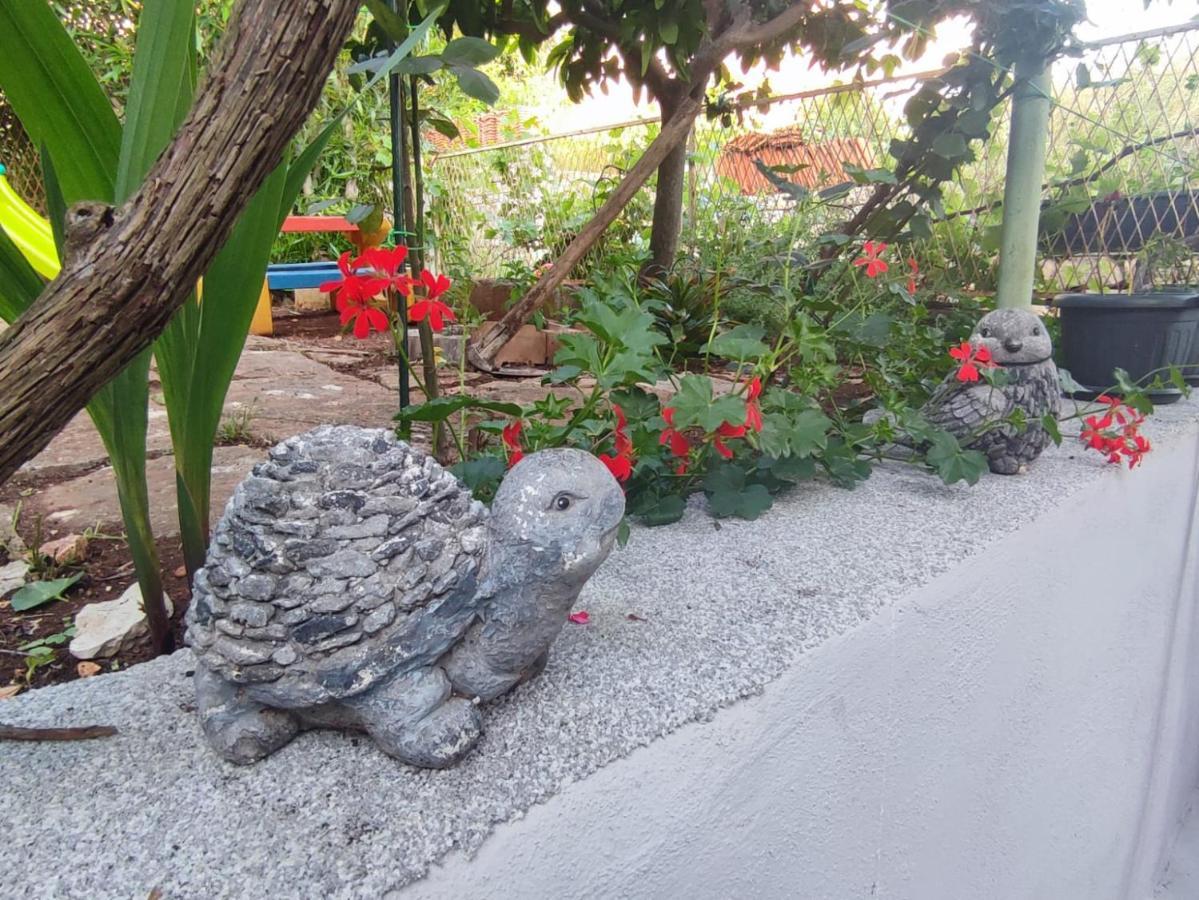 Apartment With Garden فيلا لوكا المظهر الخارجي الصورة